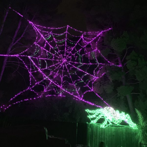 Pink spiderweb with giant green spider made of lights on building