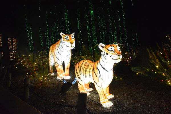 Two glass tigers with lights inside stand in the middle of foliage