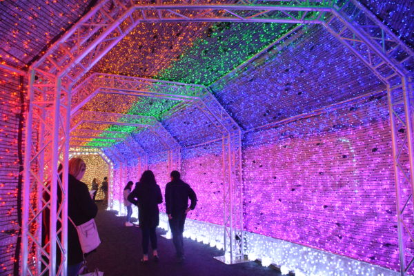 Guests walk through the "Twinkle Tunnel" amid rainbow stripes of lights in pink, purple, green, and red