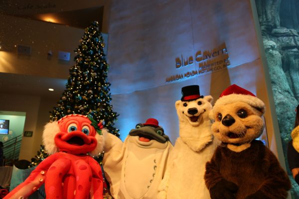 Pink octopus in earmuffs, stingray in red bowler hat, polar bear in top hat and otter character in Santa hat stand near Christmas tree and Blue Cavern sign at Aquarium of the Pacific