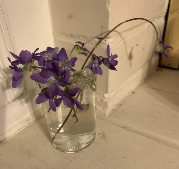 Violets in a glass near a white wall
