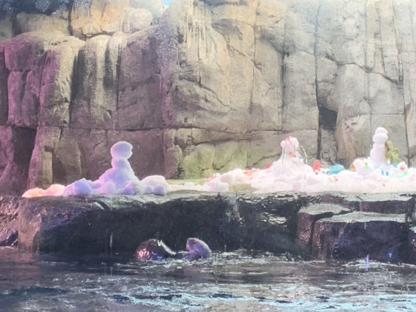 Otter swims toward icy platform in his tank, where "snowmen", made of ice, stand with icy holiday "treats" in front of them
