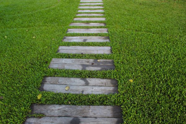 A wooden garden path in green grass