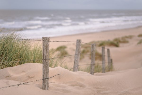 Ocean with white waves beyond beach with wooden posts and dune grass