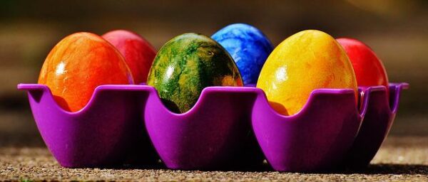 Multicolored Easter eggs (blue, red, yellow) sit in a purple egg carton on a counter