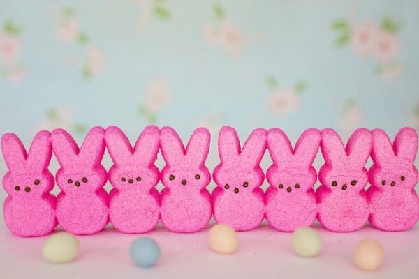 Line of pink marshmallow "Peeps" rabbits