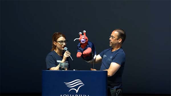 Puppeteer brings out hermit crab puppet Captain Quinn in a baby sweater with a pacifier as co-creator Sarah Berman stands at the lectern