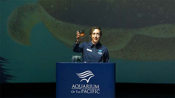 Curator of Fish and Invertebrates Janet Monday holds up an amber-colored glass jar as she stands at the Aquarium of the Pacific podium