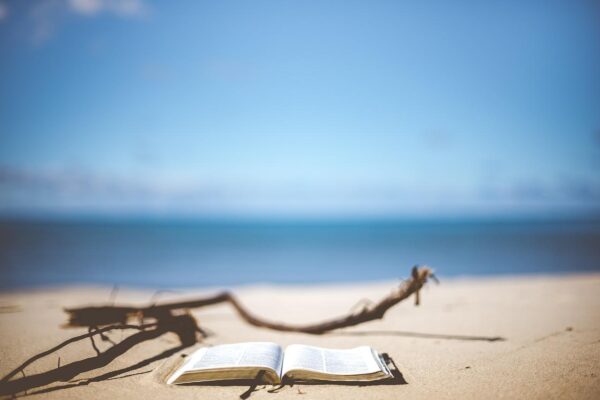 A book lies open on white sand with a blue ocean in the distance and driftwood nearby.