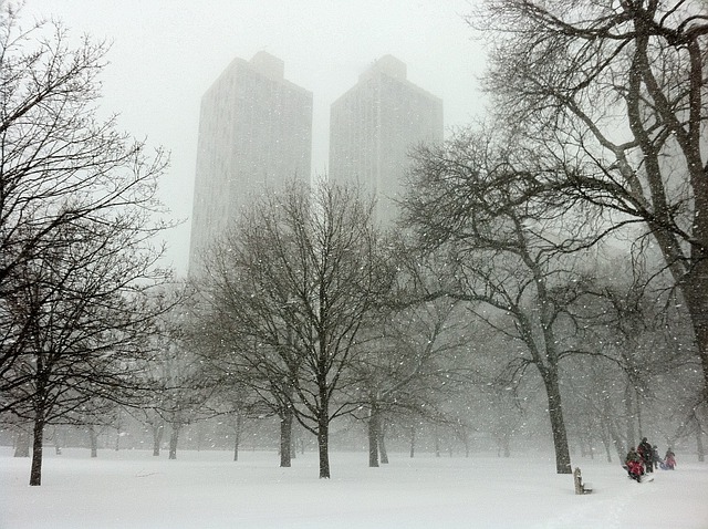 Snow-covered Chicago park with buildings looming out of snow in the background