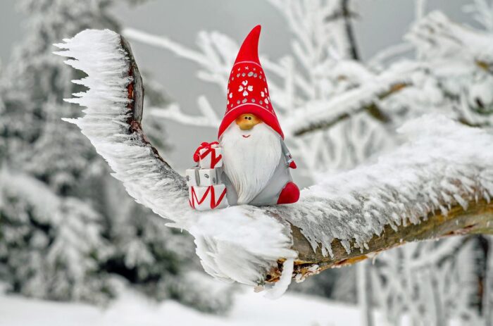 Smiling small gnome with a white beard, red cap and his had on three Christmas packages stands on a snow-covered branch