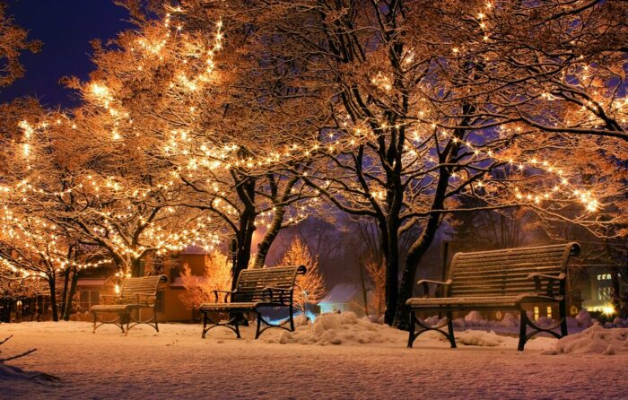 Snowy street with bare trees and park benches, lit with strings of gold lights