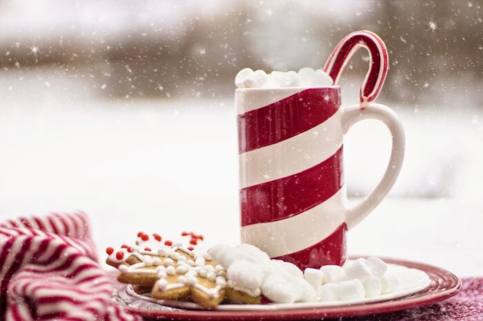Red-and-white candy cane striped mug with festive drink and a candy cane stirrer sits next to a plate of decorated gingerbread cookies on a table near a blurred but snowy background.