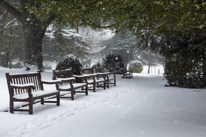 Wintry park with snow-covered benches and trees.