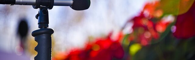 Microphone on a stand in a Christmas setting with poinsettias