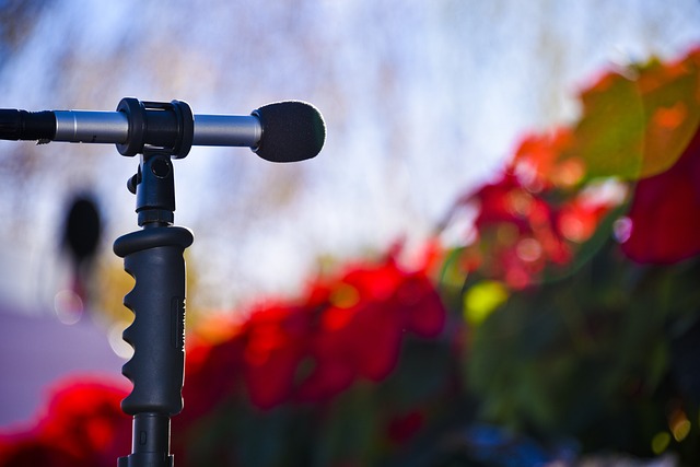 Microphone on a stand in a Christmas setting with poinsettias