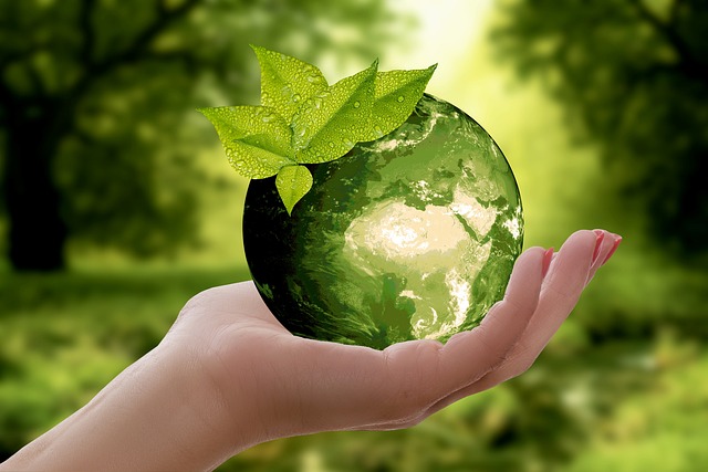 Hand holding an earth-shaped translucent glass globe against a background of greenery