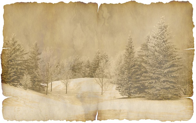 Black-and-white old-time print of pine trees in snow with rippled edges like an old photograph
