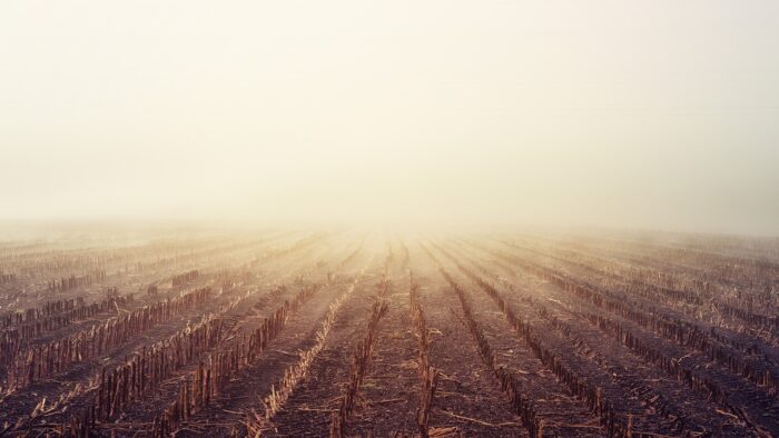 Brown field seems to disappear in mist of a sunrise