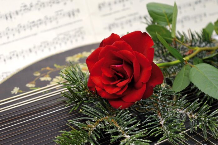 Full-blown red rose with evergreens sits on a piano near a musical score.