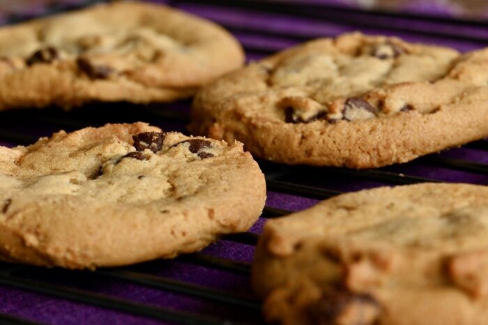 Close-up of batch of chocolate chip cookies.