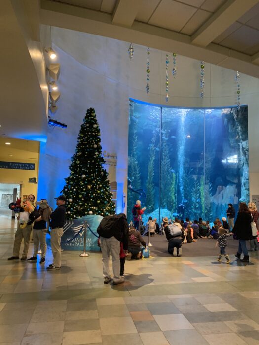 Attendees and Aquarium staffers near the Great Hall's tank with decorated Christmas tree.
