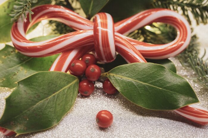 Peppermint candy cane "bow" next to green holly leaves with red berries.