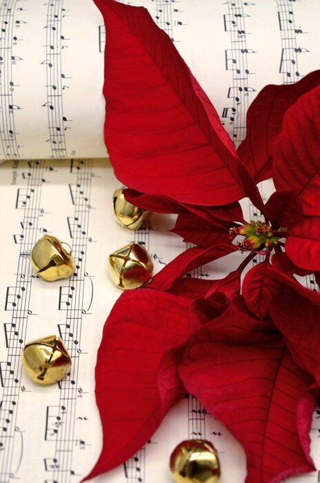 Gold jingle bells and red poinsettia on a musical score.