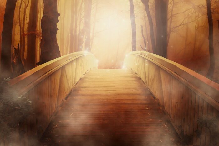 Woodland bridge leads forward into a gold glow.