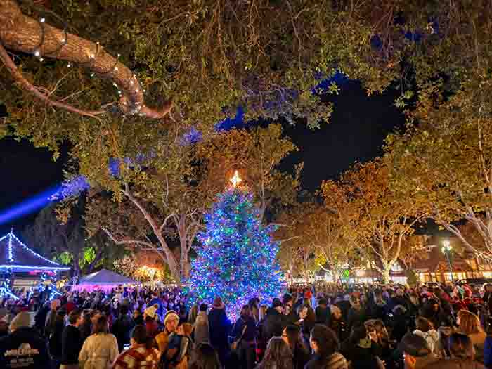 Solvang's Christmas tree, with blue lights, in the center of a park.