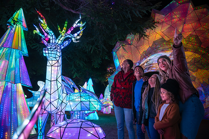 Smiling blonde woman points upwards as her vamily looks at an illuminated sculpture of a reindeer with lighted pine trees around it.