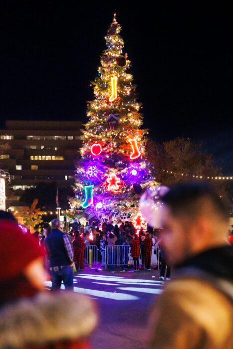 Tall lighted tree with stocking and heart shapes in lights among its other lighted features