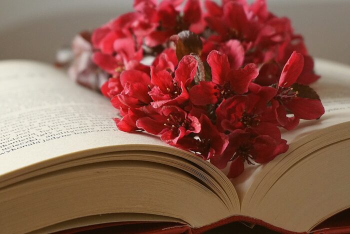 Red flowers in the center of an open book.