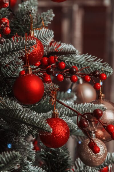 Closeup of spuce boughs with red and gold Christmas balls and red berries.