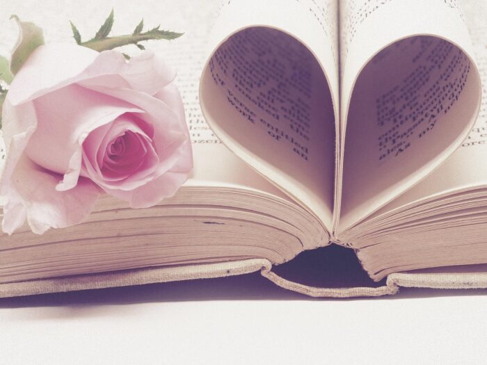 Pink rose on a book with its pages folded into a heart