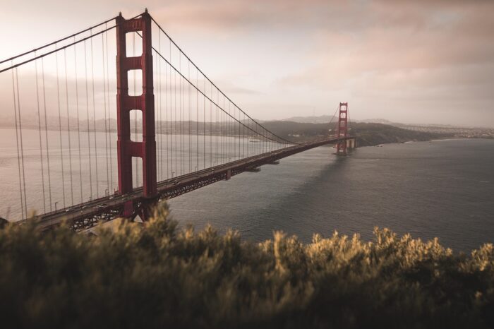 Golden Gate bridge with gold grasses at its base, perspective shot as it stretches across the bay to San Rafael.)