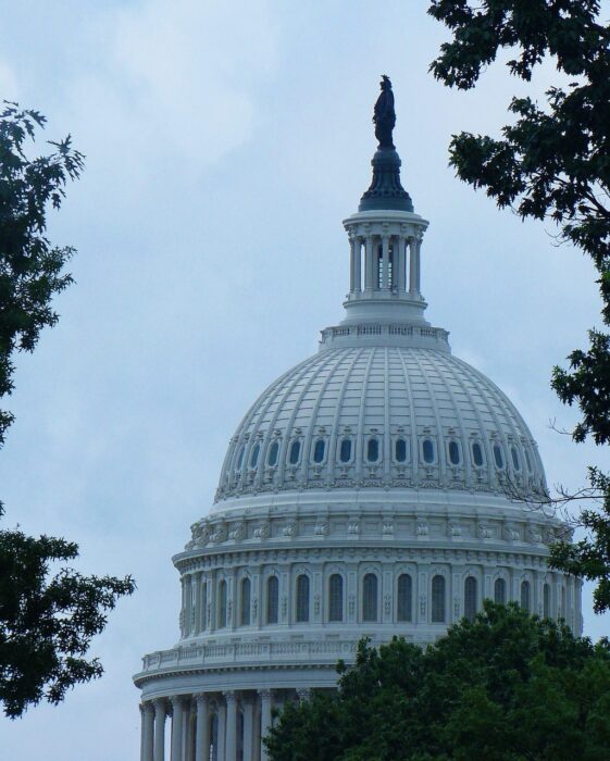 Dome of the US Capitol building against a blue sky surrounded by trees