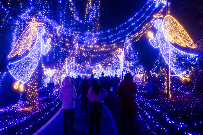 Angels in blue lights line entrance to Cambria Christmas Market.