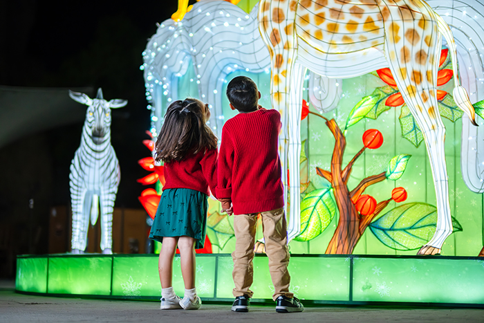 Children look at lighted mural of a giraffe as a lighted zebra lantern stands nearby.