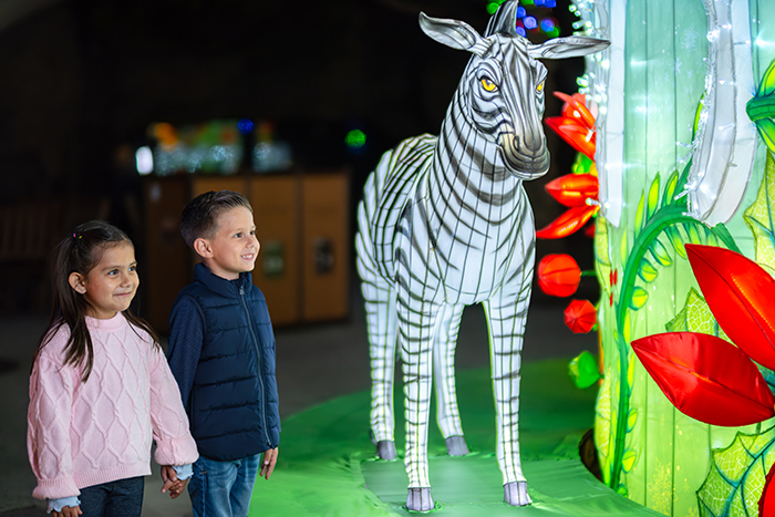 Two smiling children walk by zebra lantern next to a lighted plant with red flowers.