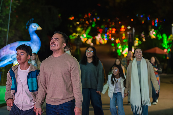 Guests smiling and looking upward as they walk though L. A. Zoo Lights display with lighted animal lanterns.