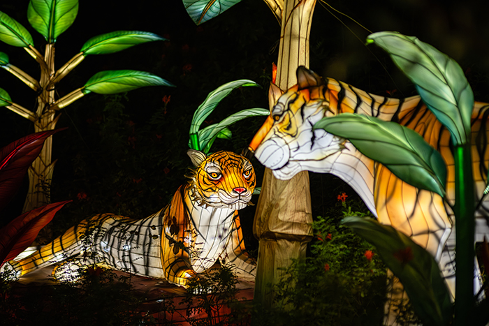 Tiger-shaped lanterns illuminated under lighted palm trees.