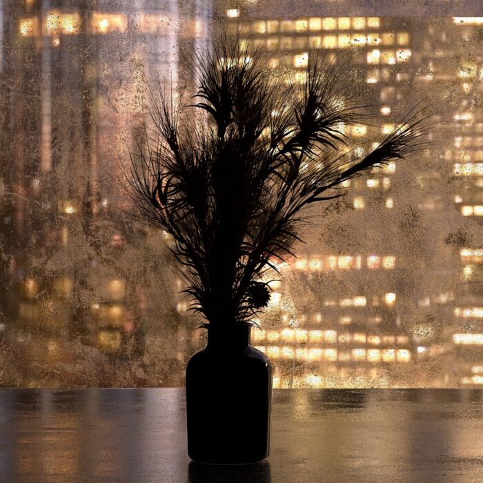 Potted palm in silhouette against a rain-covered window with gold-lit urban office buildings in the distance.