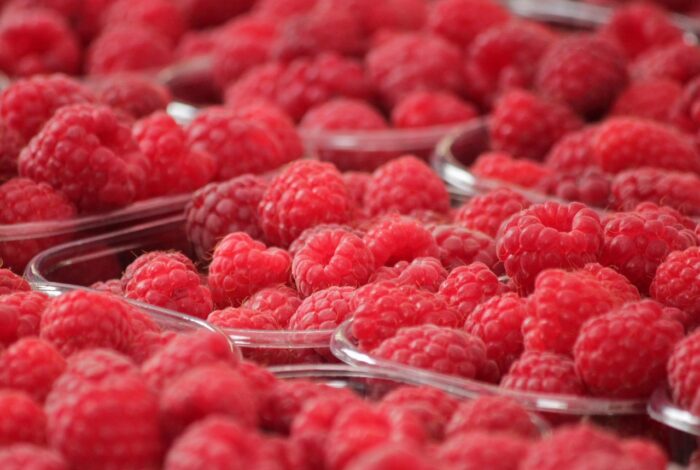 Closeup of baskets of raspberries for sale at farmers' market.