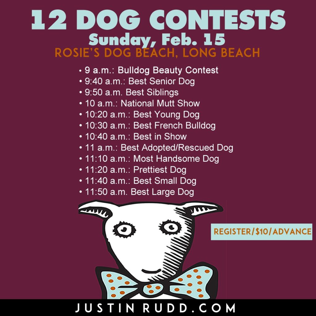 Graphic features white dog in a bow tie against a maroon background and advertises "12 dog contests, Sunday, February 15".)