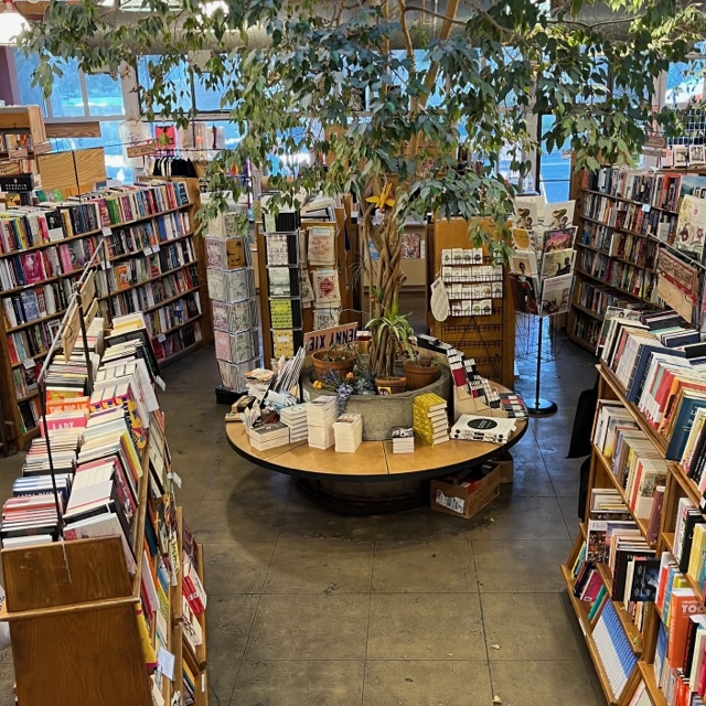 Books on numerous shelves with a green indoor tree above them